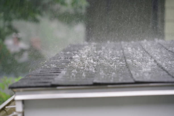 Best Storm Damage Roof Repair  in Cheltenham Village, PA